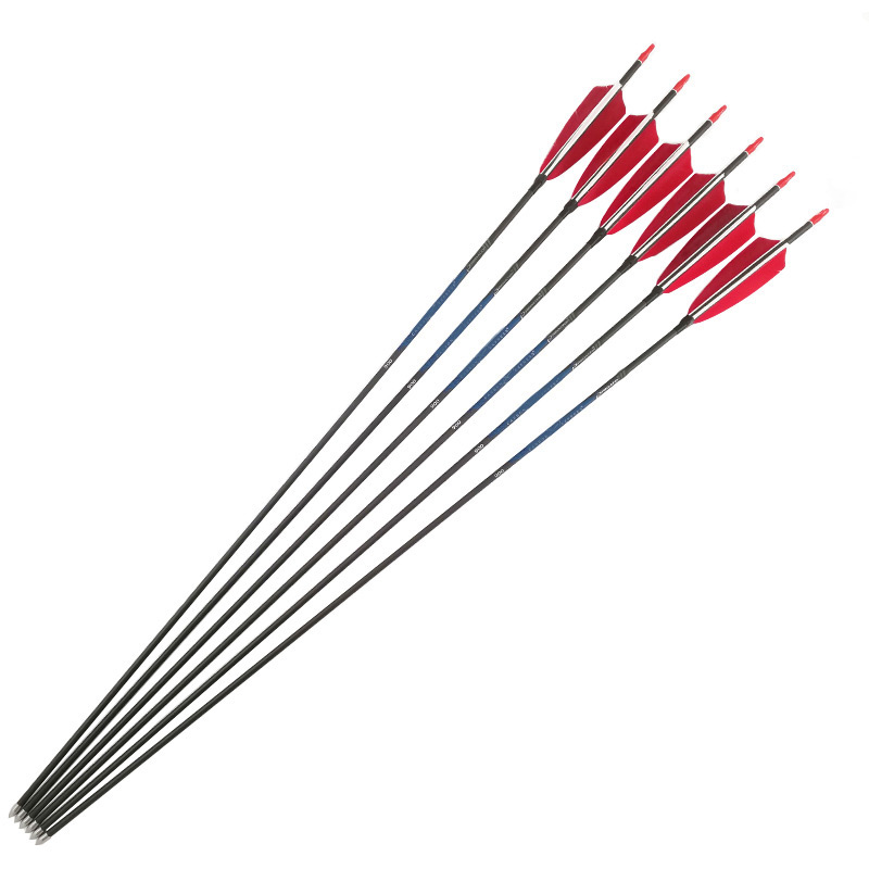 Tiro con l'arco frecce in carb - Carbon Arrows 30 Inch Spine 400 500 recensione e prezzo