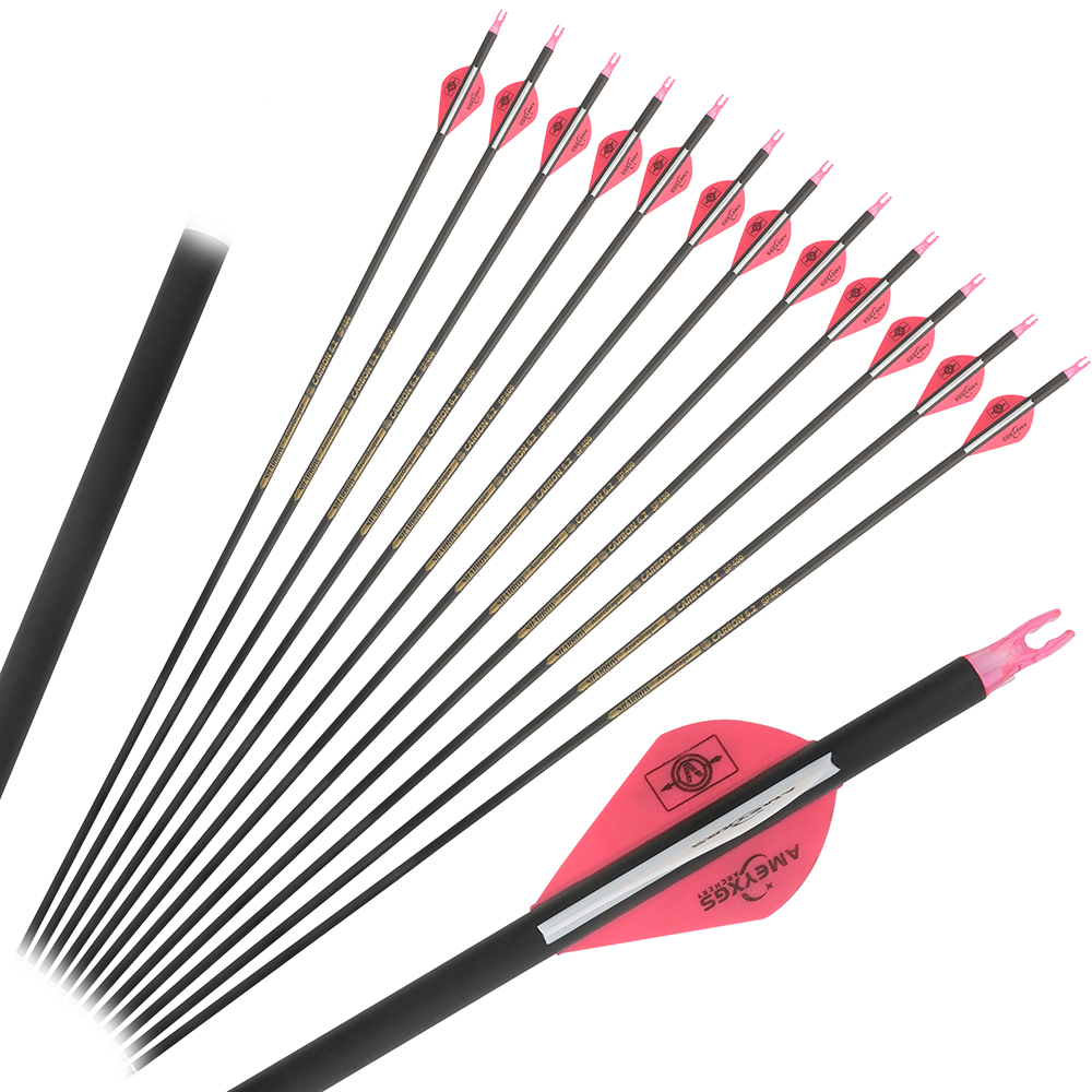 Tiro con l'arco Frecce in carb - Carbon Arrows 30 Inch Spine 400 500 recensione e prezzo