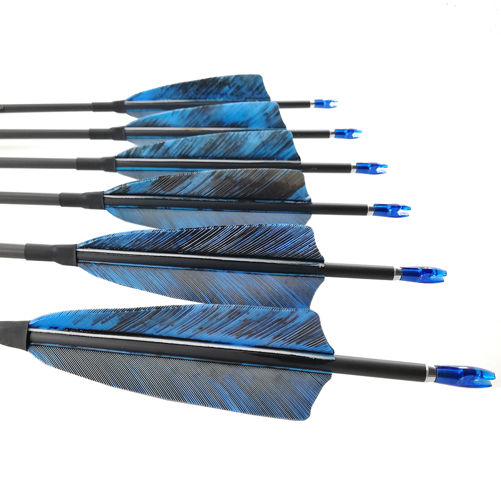 Tiro con l'arco spina dorsale  - Carbon Arrows 30 Inch Spine 400 500 recensione e prezzo
