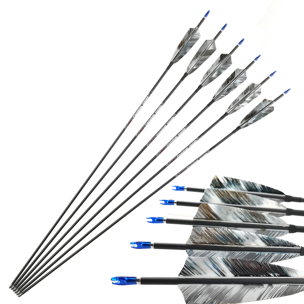 Pinals Archery Frecce in Carbo - Carbon Arrows 30 Inch Spine 400 500 recensione e prezzo