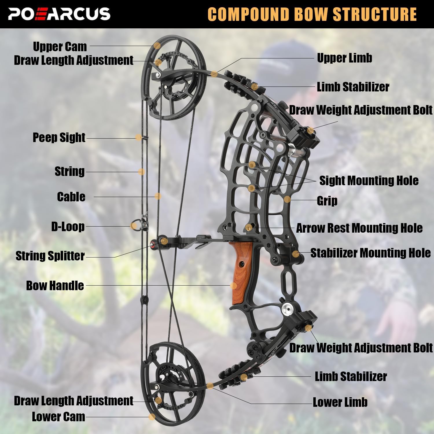 Set di arco composto a doppio  - Compound Bow Hunting 30-70 Lbs recensione e prezzo
