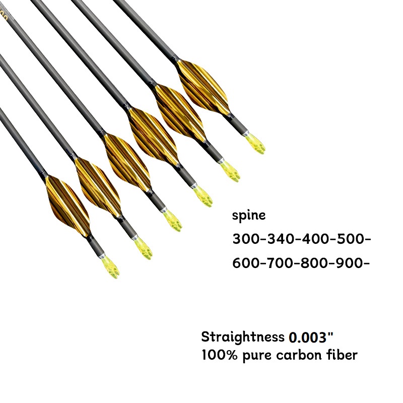 Freccia in puro carbonio ID4.2 - Carbon Arrows 30 Inch Spine 400 500 recensione e prezzo
