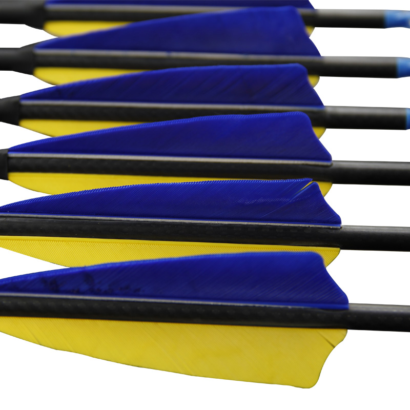Frecce in Carbonio Puro 3K per - Carbon Arrows 30 Inch Spine 400 500 recensione e prezzo